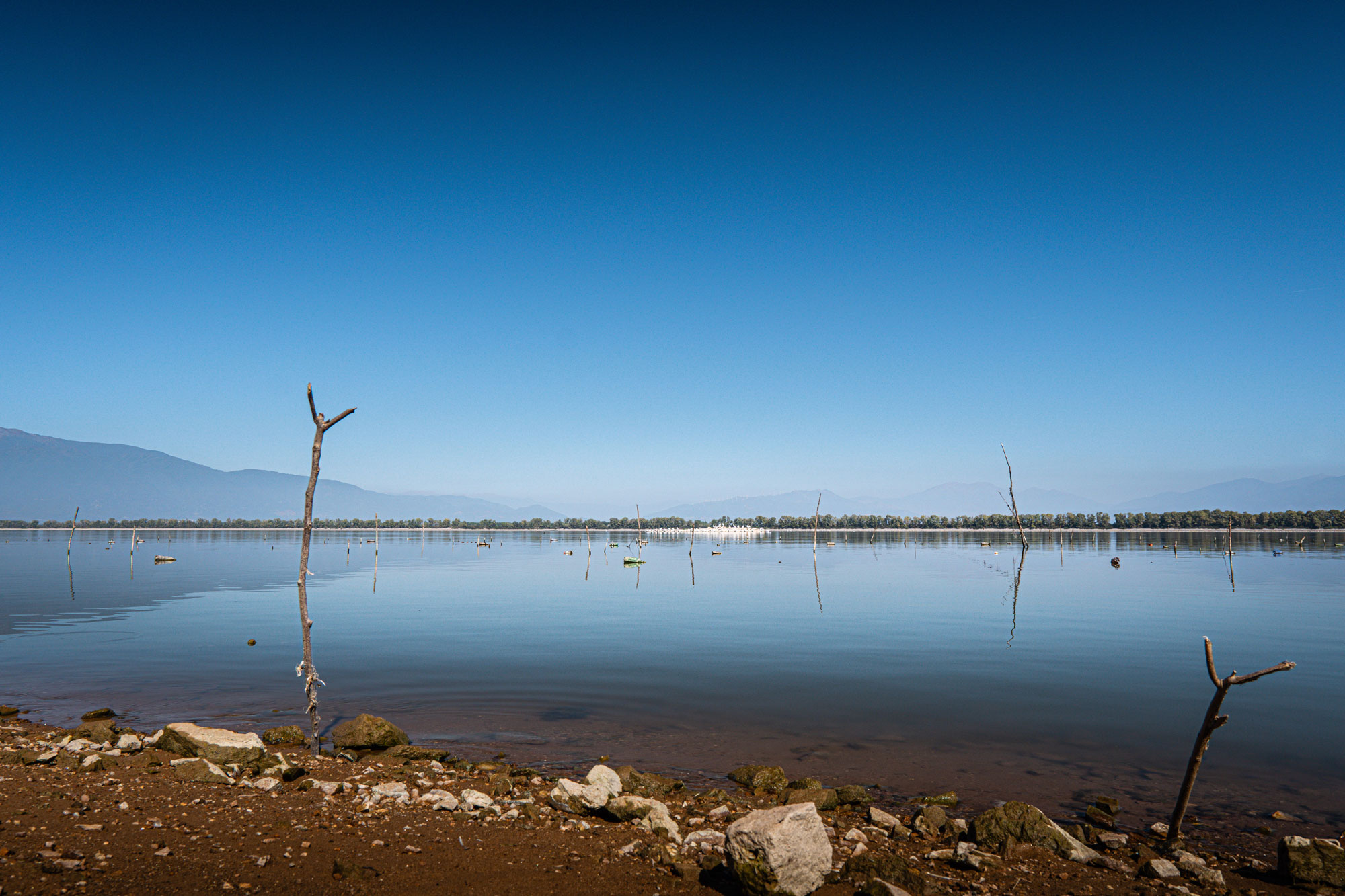 Mountain & Woodland Areas